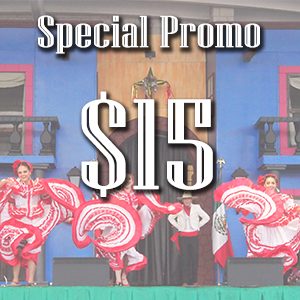 Picture of 2024 $15 Special Promotion General Admission